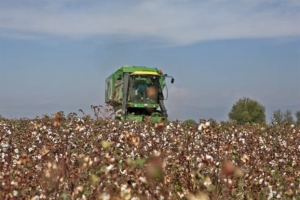 Κομπίνα σε βάρος του Ο.Π.Ε.Κ.Ε.Π.Ε. στη βόρεια Ελλάδα