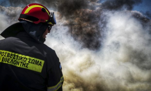 Αλεξανδρούπολη: Πυρκαγιά σε δασική έκταση