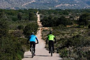 Αθλητικός τουρισμός. Ταξίδι για έναν αγώνα