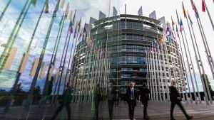 Ευρωπαϊκό Κοινοβούλιο: Νέα κανόνες για την ευημερία σκύλων και γατιών στην ΕΕ
