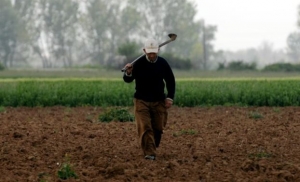 Σχέδιο εκχώρησης δημόσιας γης σε αγρότες