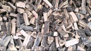 Χαλκιδική: Τραγωδία για 79χρονο άνδρα που καταπλακώθηκε από κορμό δέντρου