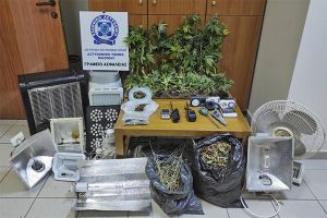 Σε πλαστικά δοχεία καλλιεργούσε 23 δενδρύλλια κάνναβης