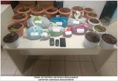 Θεσσαλονίκη: Συνελήφθησαν 2 άτομα έπειτα από τον εντοπισμό φυτών και συσκευασιών κάνναβης