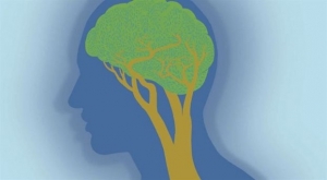 Πρώτοι στα εγκεφαλικά και χωρίς ειδικές μονάδες