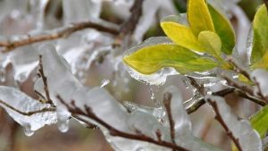 Ισχυρός παγετός στη Δυτική Μακεδονία σύμφωνα με το meteo- Βαθμιαία εξασθένηση