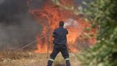 Κιλκίς: Συνεχής καταστροφή από την πυρκαγιά στο Πευκόδασος