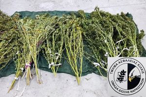 Ασφάλεια Κιλκίς: Σύλληψη στη Θεσσαλονίκη για διακίνηση ναρκωτικών ουσιών. Έκρυβε στην αποθήκη του 10,5 κιλά κάνναβης
