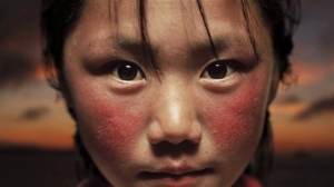 <div>WWF: Ενα μαγικό ταξίδι σε κάθε γωνιά του πλανήτη σε 1,5'</div>