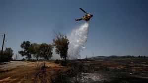Δραματική πυρκαγιά σε χαμηλή βλάστηση στη Νέα Τρίγλια Χαλκιδικής