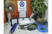 Οι αστυνομικοί της Παιονίας συνέλαβαν στη Θεσσαλονίκη καλλιεργητή χασίς με τη βοήθεια της "Μinnie"