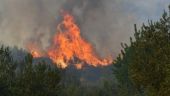 Μερικώς υπό έλεγχο η φωτιά σε χαμηλή βλάστηση κοντά στο Πολύκαστρο