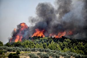 Υψηλός κίνδυνος πυρκαγιάς σήμερα Τρίτη 16-07-2024 στην Π.Ε. Κιλκίς