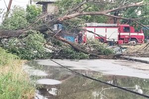Πτώση δέντρου και ηλεκτροφόρου καλωδίου στη Δοϊράνη – Εκτρέπεται η κυκλοφορία οχημάτων