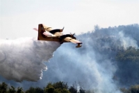 Σε εξέλιξη πυρκαγιά στην Αλφειούσα Ηλείας