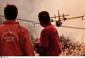 Δύο πυρκαγιές σε δασικές εκτάσεις στην Κεφαλονιά