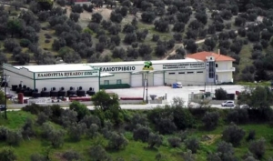 Μαγνησία: Δύο νεκροί από πτώση σε δεξαμενή ελαιοτριβείου