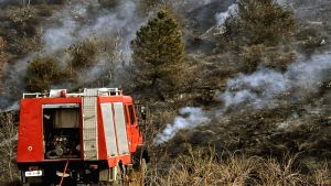 Συναγερμός στην Πυλαία: Πυρκαγιά σε χαμηλή βλάστηση