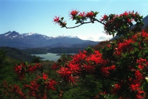 Ενα ημερολόγιο, το σερφ και μία ερώτηση για την ελευθερία