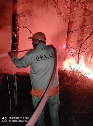 Υπό πλήρη έλεγχο τέθηκε η πυρκαγιά στο Μπέλλες τα ξημερώματα της Τρίτης