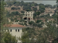 Το ΣτΕ «κατεδαφίζει» αυθαίρετα που χτίστηκαν σε αναδασωτέες περιοχές