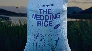 Σεμινάρια για νύφες και γαμπρούς στην 26η EXPOWEDDING: Μάθετε τα μυστικά του γάμου με τις πιο πρωτοποριακές προτάσεις