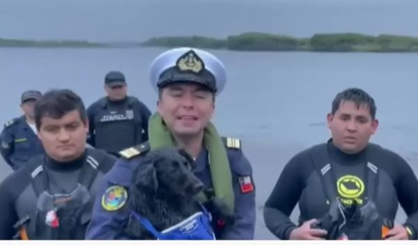 Χιλή: Διασώστες απεγκλωβίζουν ζωντανή σκυλίτσα που ήταν παγιδευμένη για μέρες σε απόκρημνα βράχια σε ποταμό