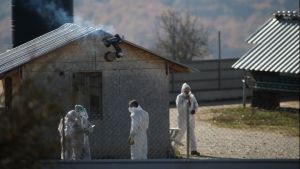Ο Περιφερειάρχης Δ. Μακεδονίας Γ. Κασαπίδης διαψεύδει τα δημοσιεύματα «για μεταλλαγμένα στελέχη κορονοϊού σε μινκ»