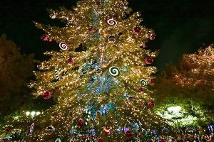 Το πρώτο Χριστουγεννιάτικο δέντρο στη Αθήνα. Η ιστορία του εθίμου.