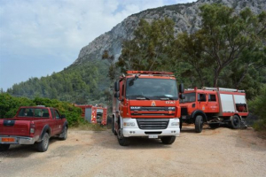 Πυρκαγιά σε δασική έκταση στην Ασωπία Βοιωτίας