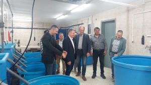 Δωρεάν γόνος ανθεκτικών μυδιών στους μυδοκαλλιεργητές το 2027