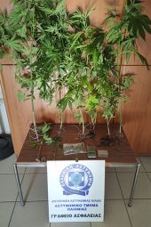 Καλλιέργεια χασίς κατ’ οίκον...