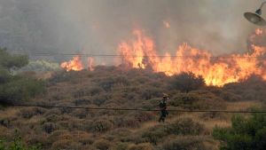 Σοβαρή πυρκαγιά σε δασική έκταση στην περιοχή Μελενικίτσι του δήμου Ηράκλειας Σερρών