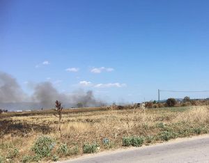 Θεσσσαλονίκη: Φωτιά στα Τσαΐρια Περαίας – Μεγάλη επιχείρηση της Πυροσβεστικής