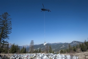 Οι γερμανοί ελεγκτές θέτουν θέμα επίγειου ελέγχου των αεροσκαφών