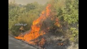 Φωτιά σε δασική έκταση στον Άγιο Αντώνιο Κιλκίς – Επιχειρούσαν τρία αεροπλάνα