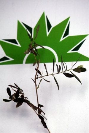 ΠΑΣΟΚ: «Γιάννη Πανουση, συμφωνούμε σε αυτά που λες...»