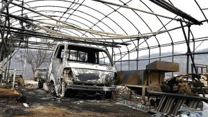 28 νεκροί από τις πυρκαγιές στη Νότια Κορέα – Οι βροχές ενισχύουν τις έρευνες κατάσβεσης