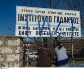 Επιστολή Γιακουμάκη-συμφοιτητών του για την κατάσταση στην Γαλακτοκομική