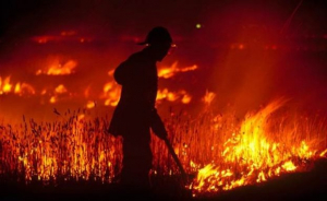 Μεγάλη φωτιά στην Τασμανία: Εκκενώθηκε καταφύγιο ζώων