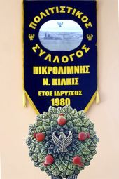 Κοπή βασιλόπιτας και συνέλευση στον Πολιτιστικό Πικρολίμνης