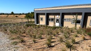 Δεκαπέντε θεματικοί κήποι στην Αμερικανική Γεωργική Σχολή προωθούν βιώσιμες πρακτικές και ανθεκτικότητα απέναντι στην κλιματική κρίση