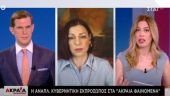 Πελώνη στον ΣΚΑΪ: Υπάρχει κινητικότητα στην πλευρά της Τουρκίας