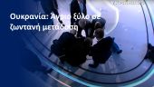 Άγριο ξύλο σε ζωντανή μετάδοση σε Ουκρανικό κανάλι – Παρών ο πρώην πρωθυπουργός – Δείτε Βίντεο