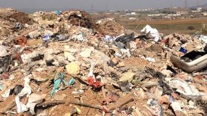 Ανησυχία στην Ροδόπη λόγω εύρεσης νεκρών ζώων στον Ίασμο