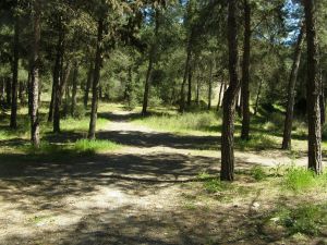 Θεσσαλονίκη: Απαγόρευση κυκλοφορίας στο Σέιχ Σου λόγω υψηλού κινδύνου εκδήλωσης δασικής πυρκαγιά