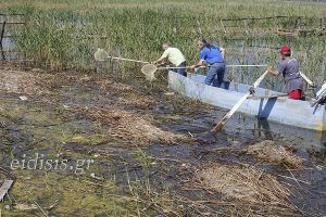 Εθελοντές απομάκρυναν σχεδόν 6.000 λίτρα σκουπιδιών από τις ακτές και το κανάλι της Δοϊράνης