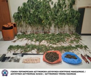 Eντοπίστηκε φυτεία δενδρυλλίων κάνναβης σε αγροτική περιοχή της Θεσσαλονίκης