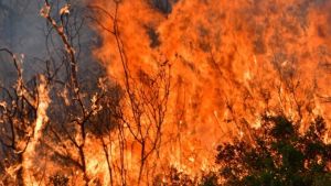 Στις φωτιές τυλίχτηκε αποθήκη στην Σαγκάη (vid)