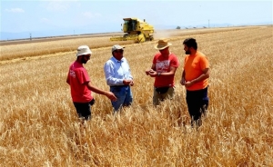 Βουλευτές ΝΔ: Να φορολογούνται ευνοϊκότερα οι αγρότες